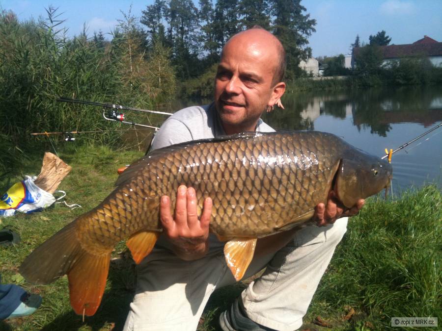 Feeder - Kapr 84 cm