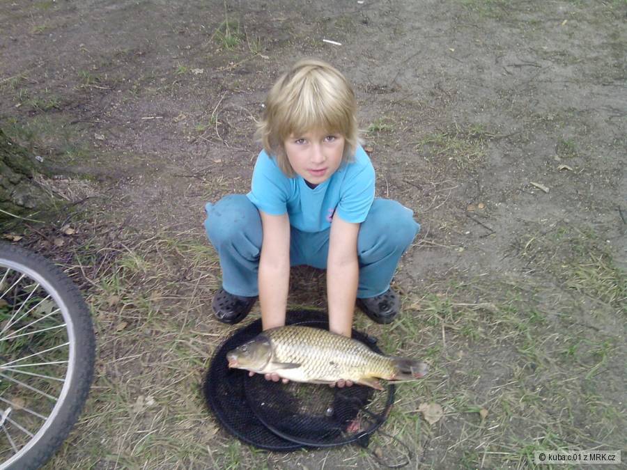 Kapřík 52cm