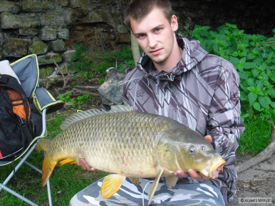 Kapr Ploutvička 83cm kila xx
