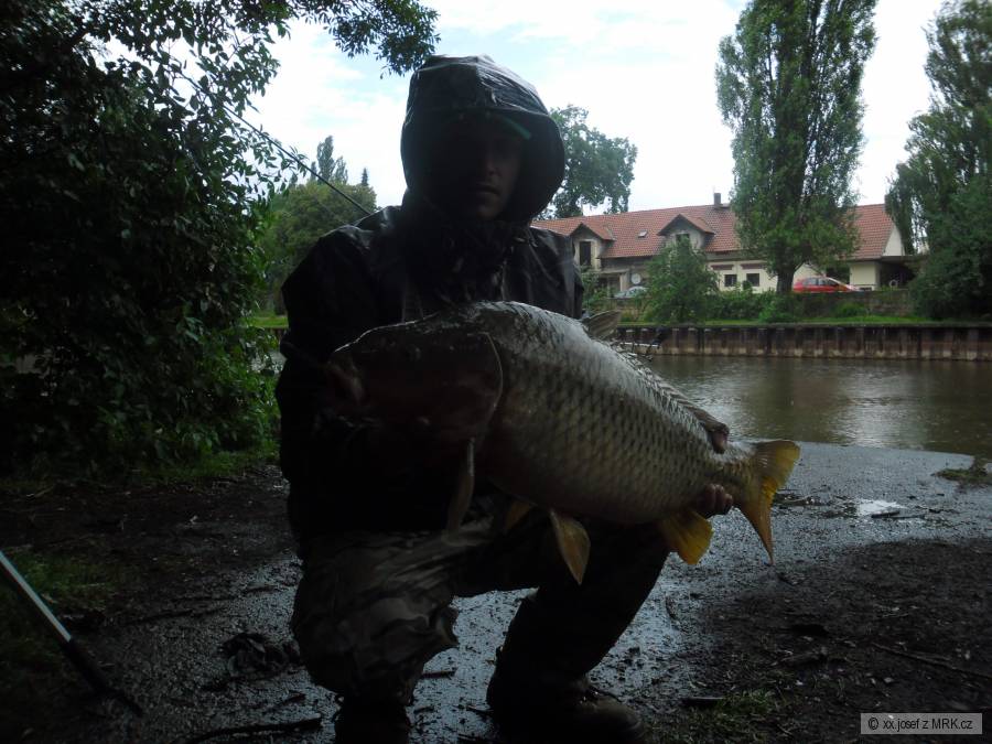 KARP 71CM VÁHA XX