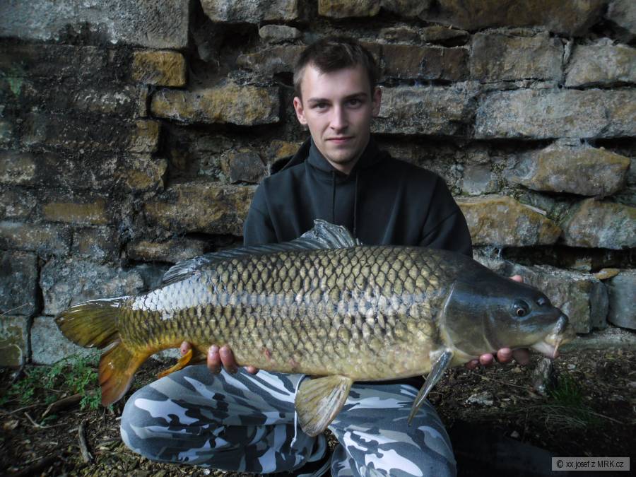Karp 82cm váha 10kg