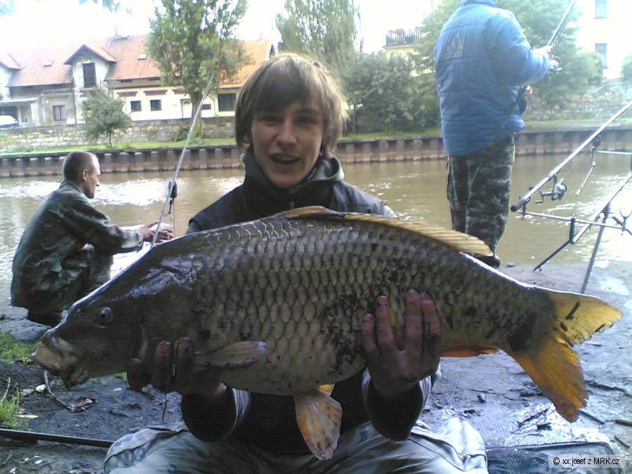 KAPR 77CM VÁHA XX