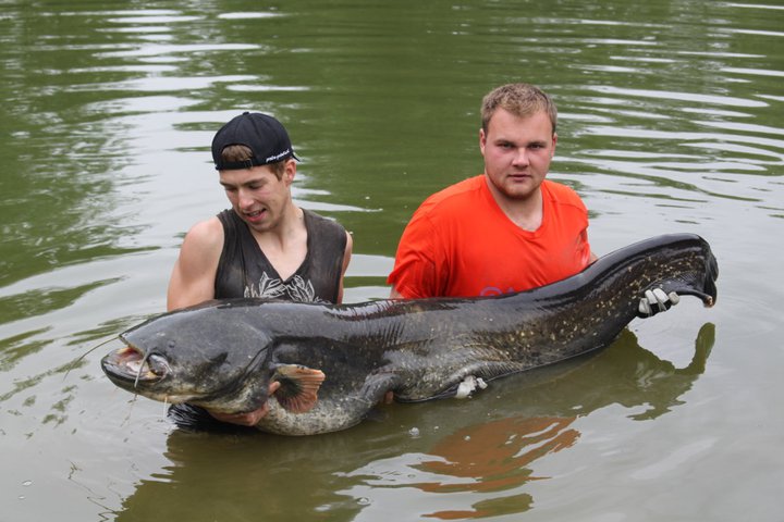 vousáč