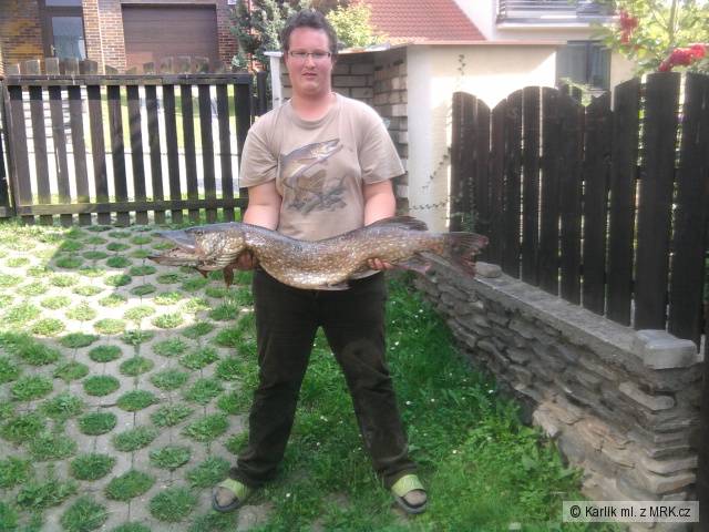 112cm 12kg