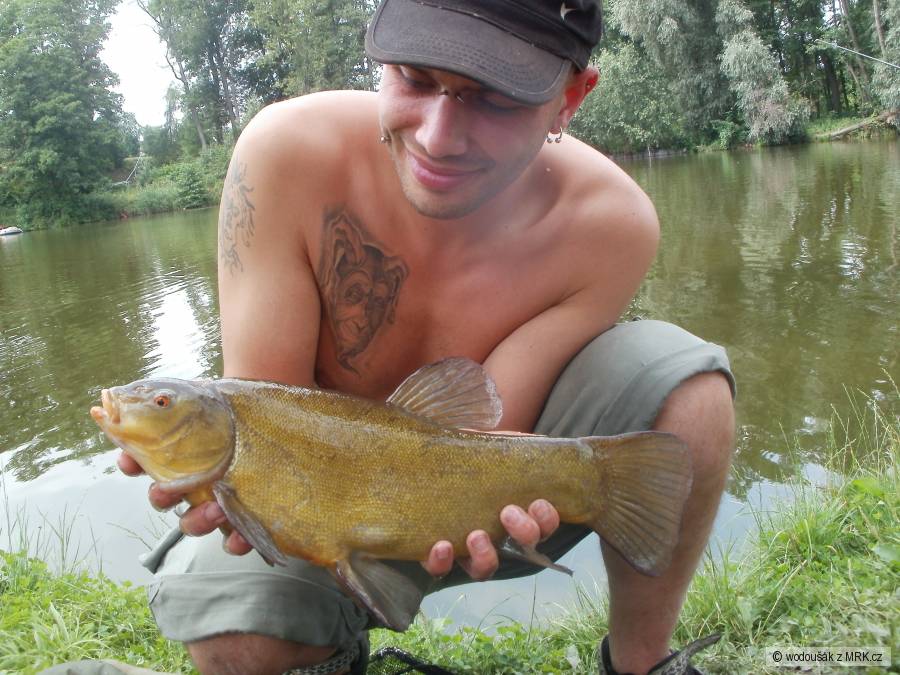 Línek