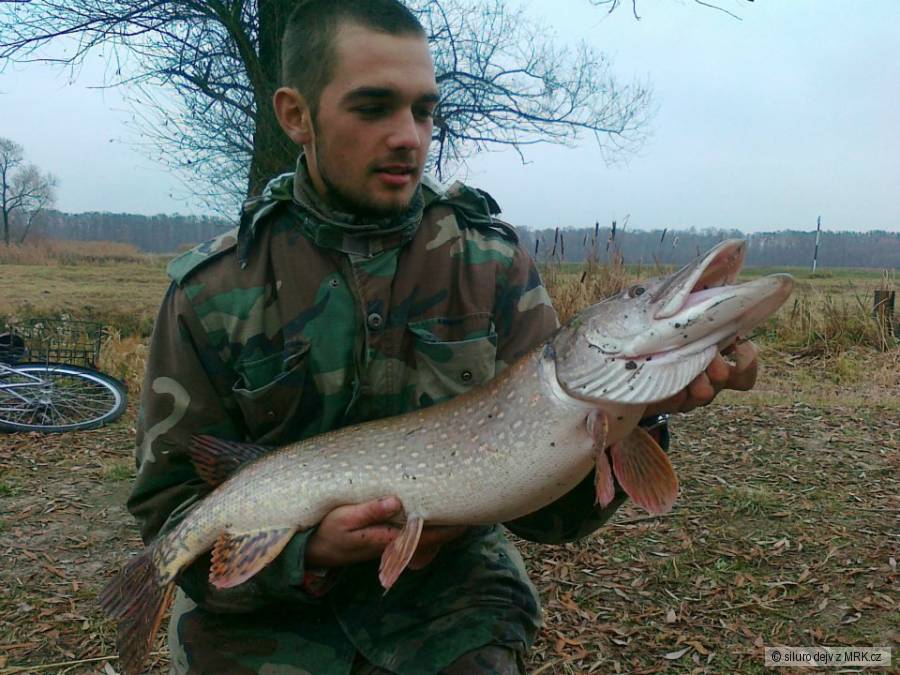 štika 90cm :)