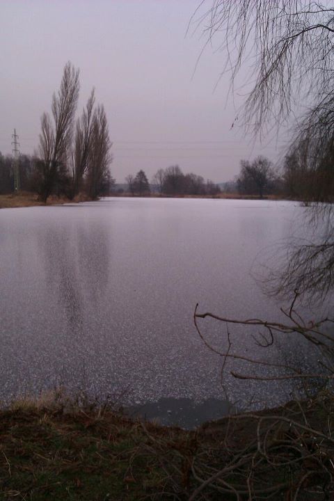 Labe 24D