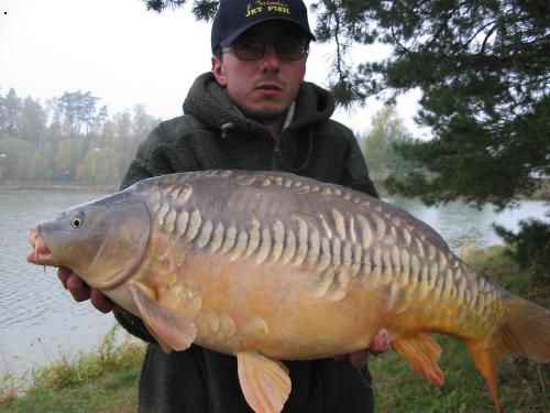 dalsi kapr -radkovy 85cm 12kg