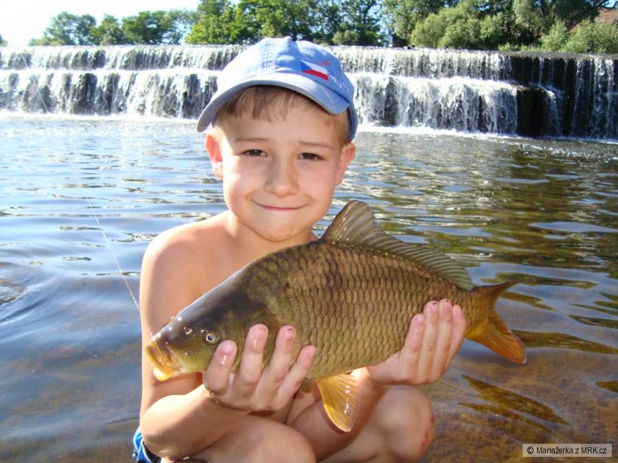 Adámek