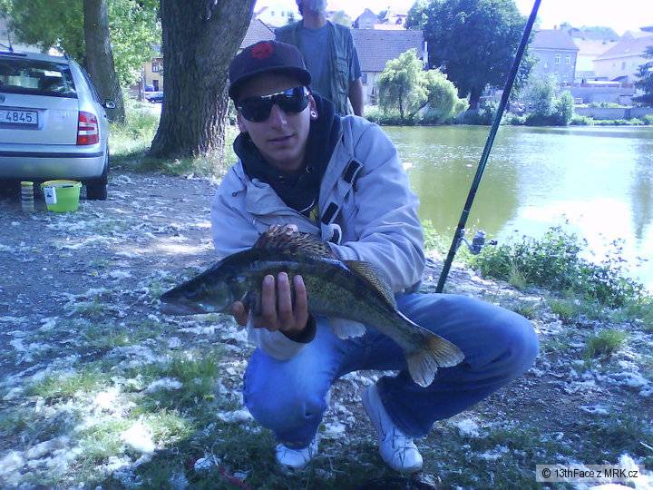 candatek