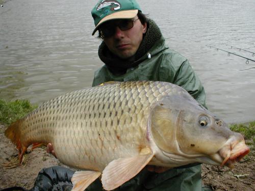 ten sam kapr 87cm 15kg z jineho pohledu