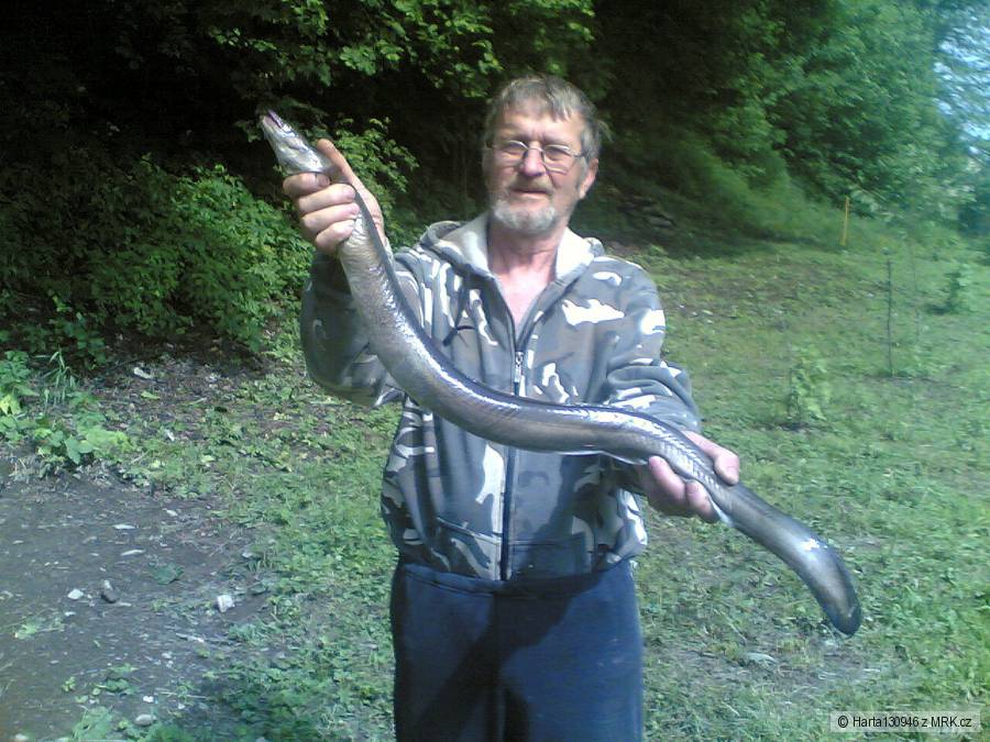 Harta Roudno