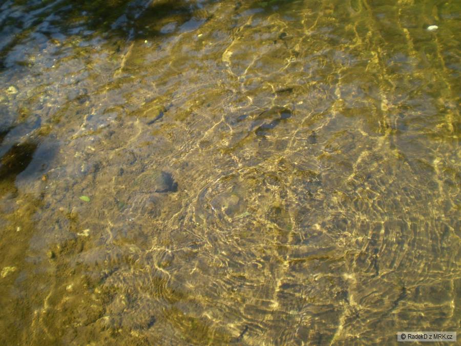 lipan