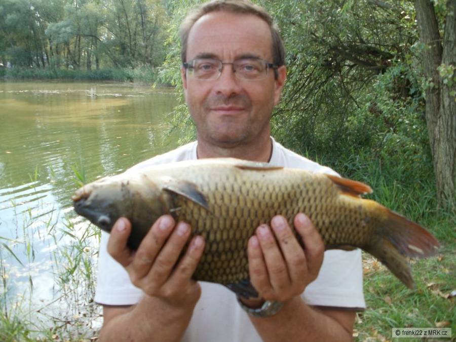 Kapřík