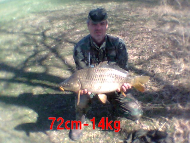 šupináč-72cm