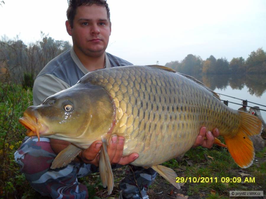 Labe