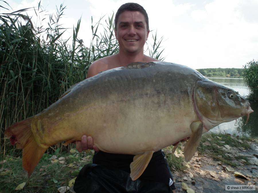 19,6 kg