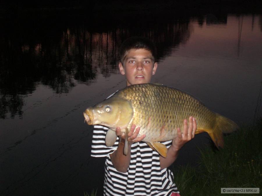 kapr 84cm-11.5 kg