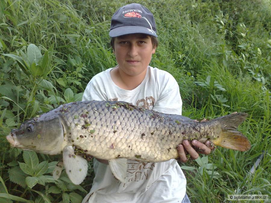 63cm ze zarostlého nerevírového rybníčku