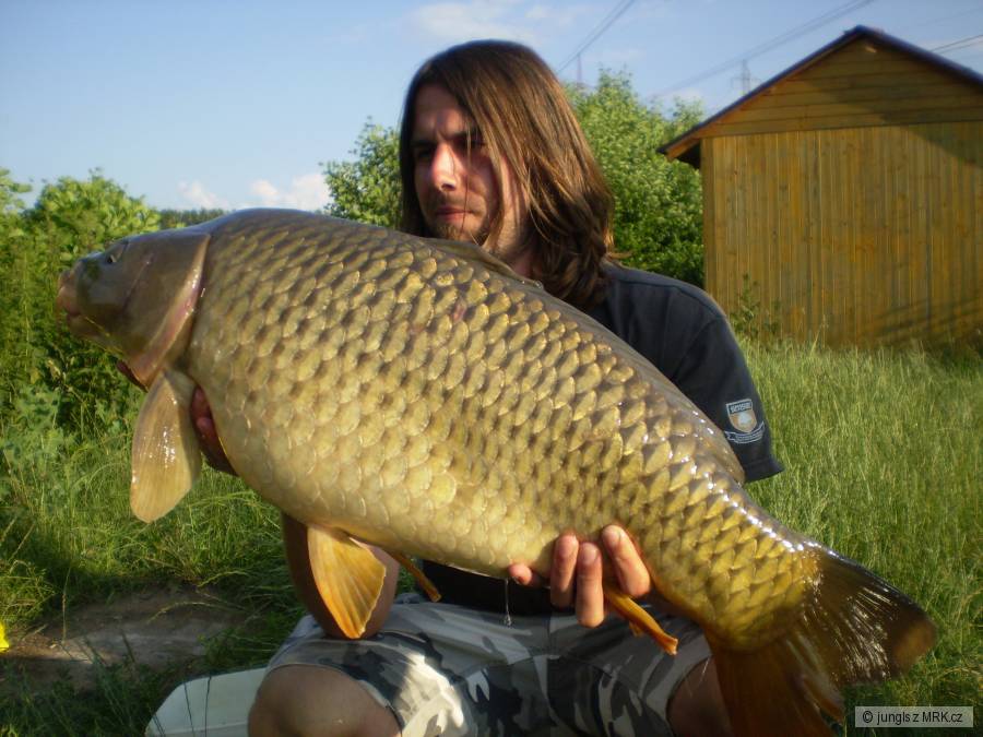 Šupík