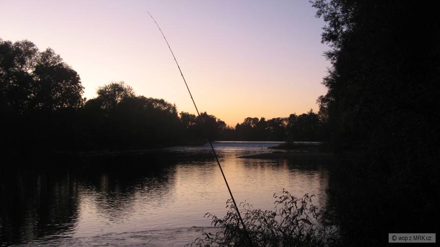 feeder na večerní Ohři