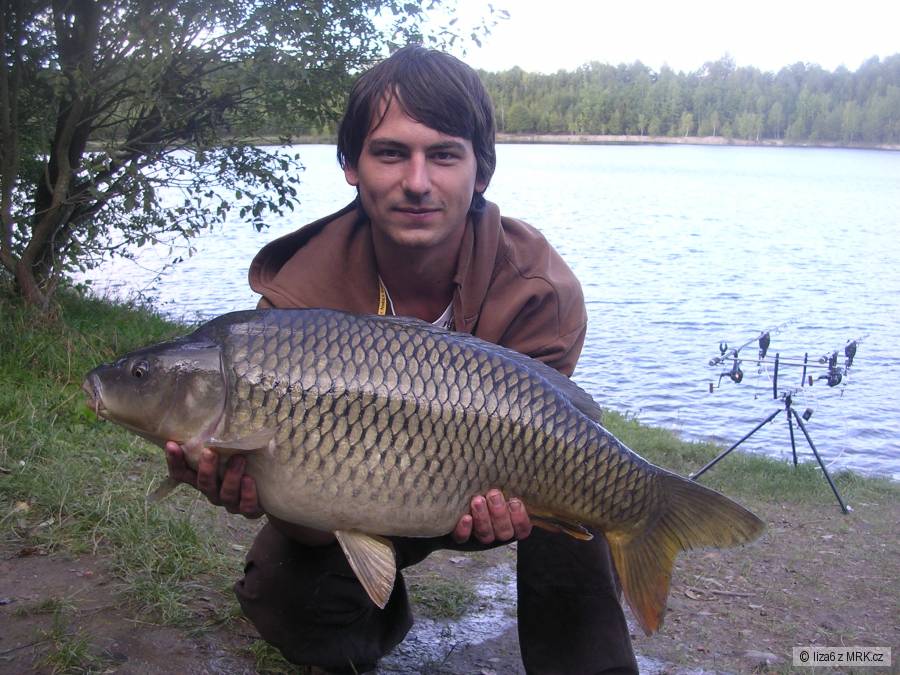 Kapr 77cm 12kg