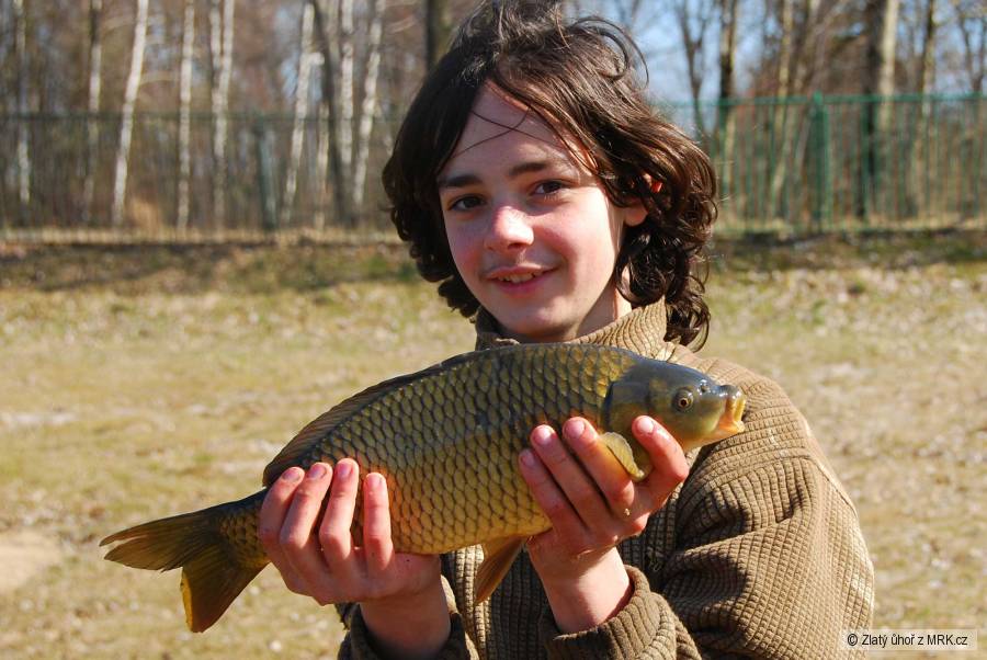 Březnoví kapr