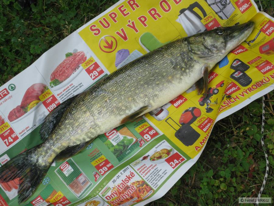 slapy 2011