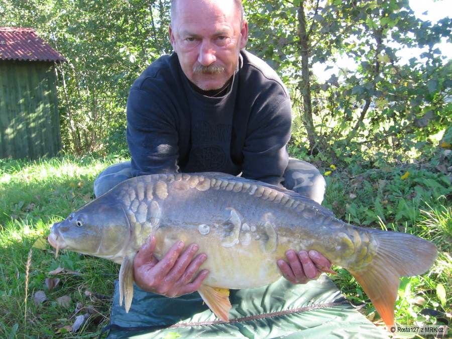 kapřík 82cm