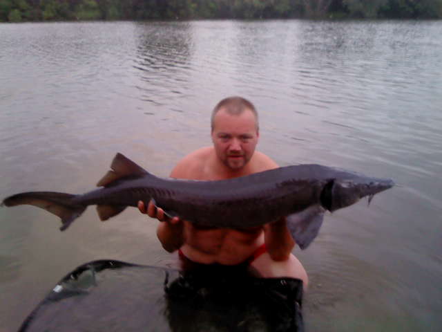jeseter 148cm 16kg