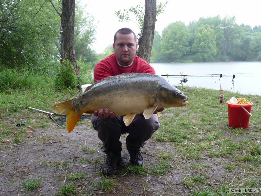 Kapr 80 cm - 10 kg