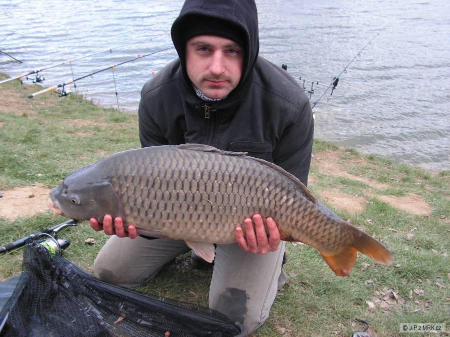 Krásný 81 cm kapřík