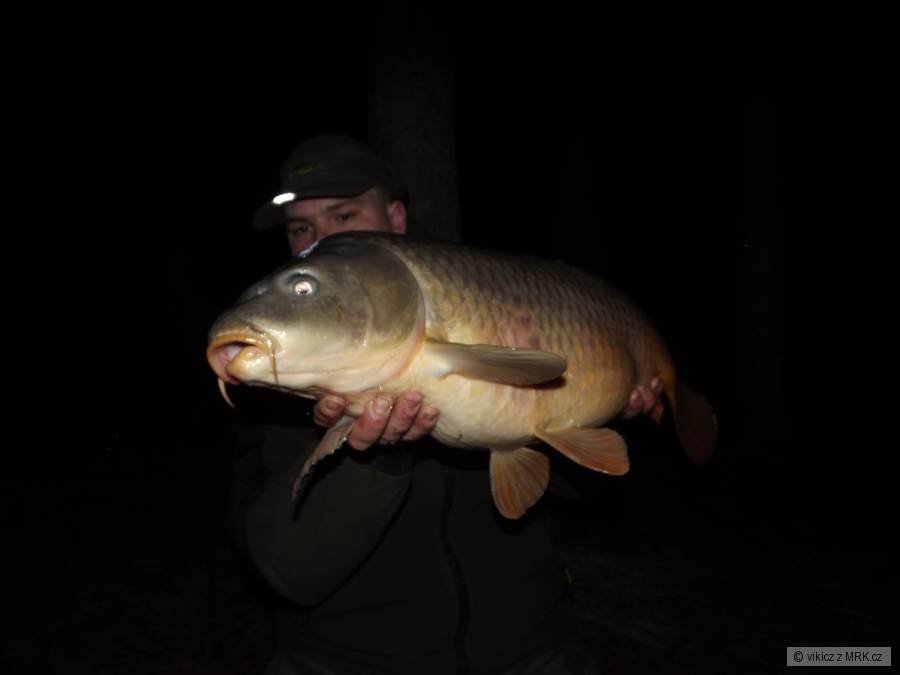 10kg 83cm první letošní březňák