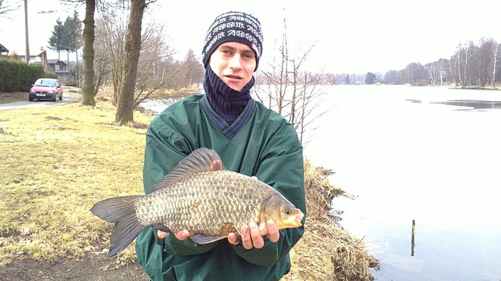 Parádní Karas