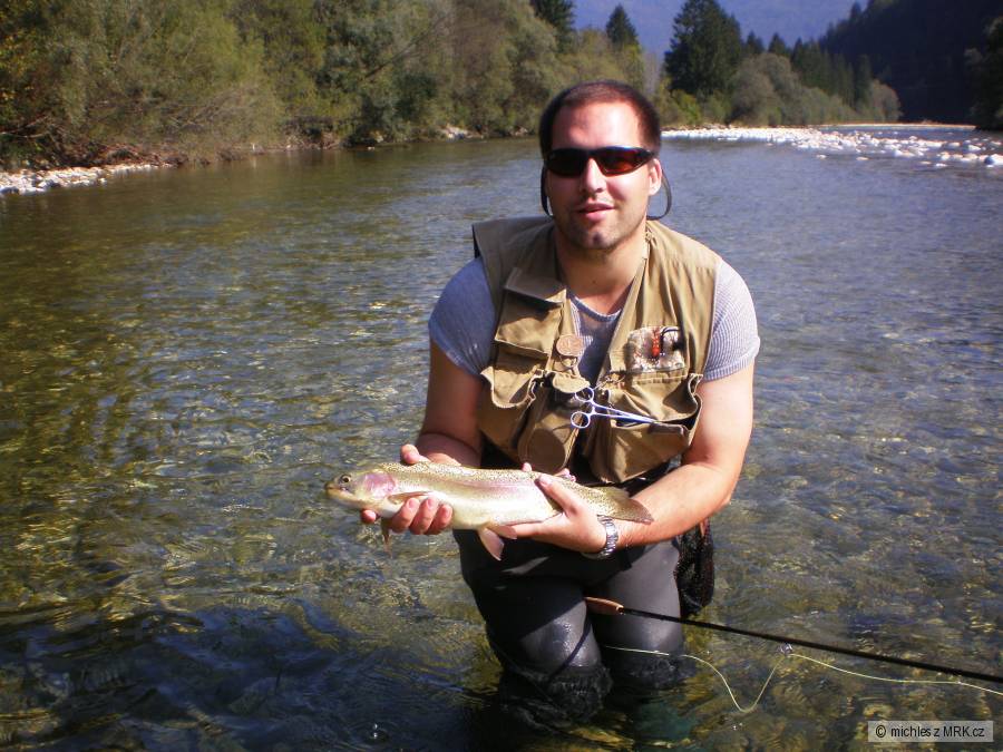 Sava Bohinjka