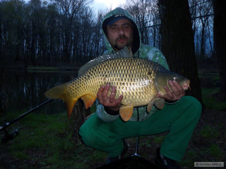 krasavec 73cm,9kg