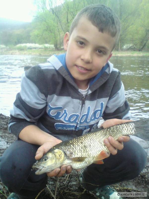 Jalec 40 cm