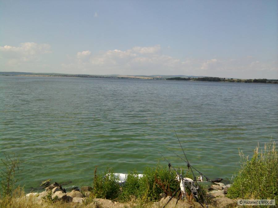 Dyje 5