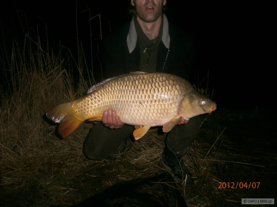 KAPOR 9,45KG