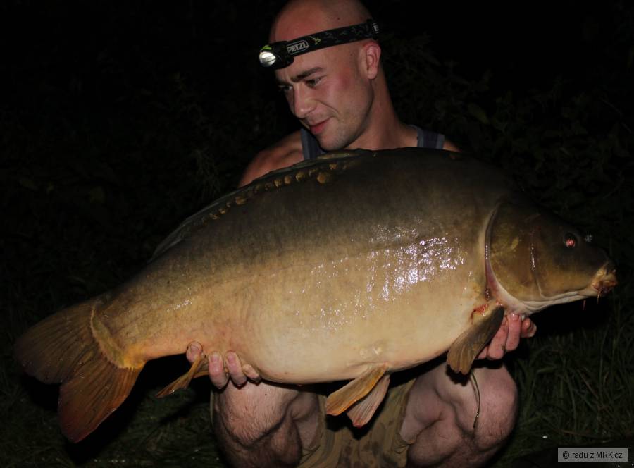 lysec12kg