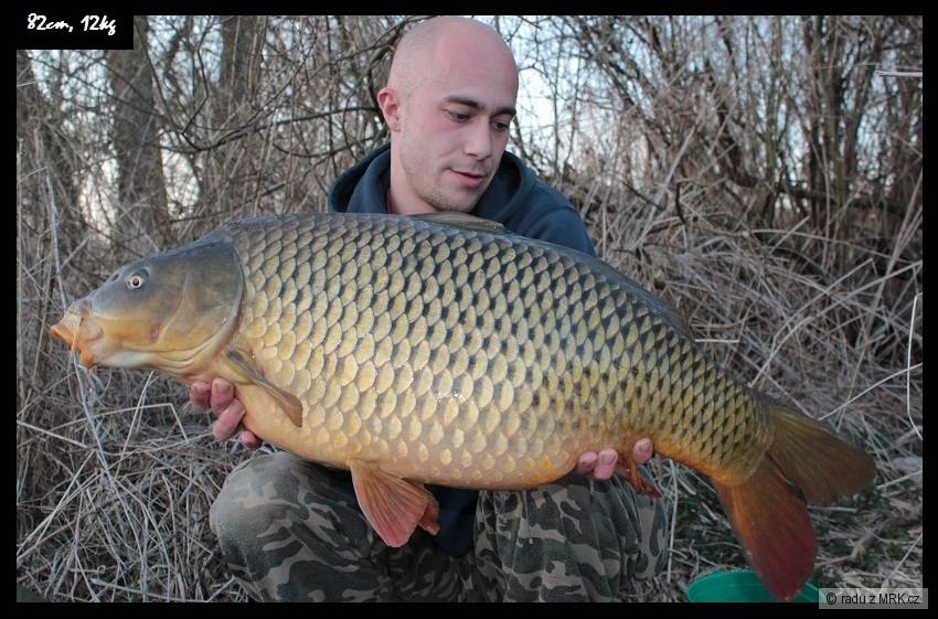 supik 12kg