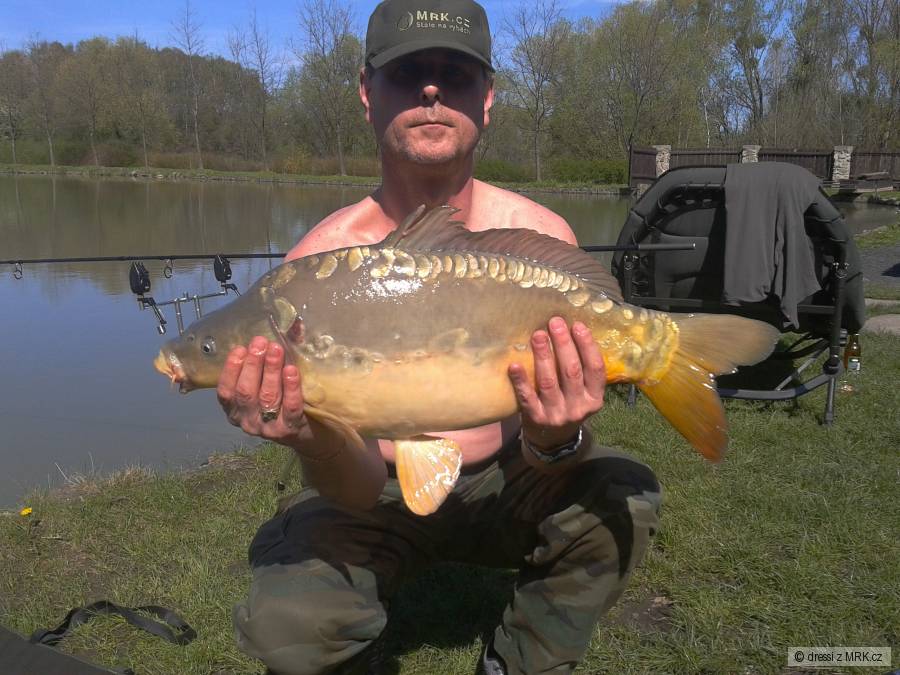 KAPR 65cm - 6,5kg