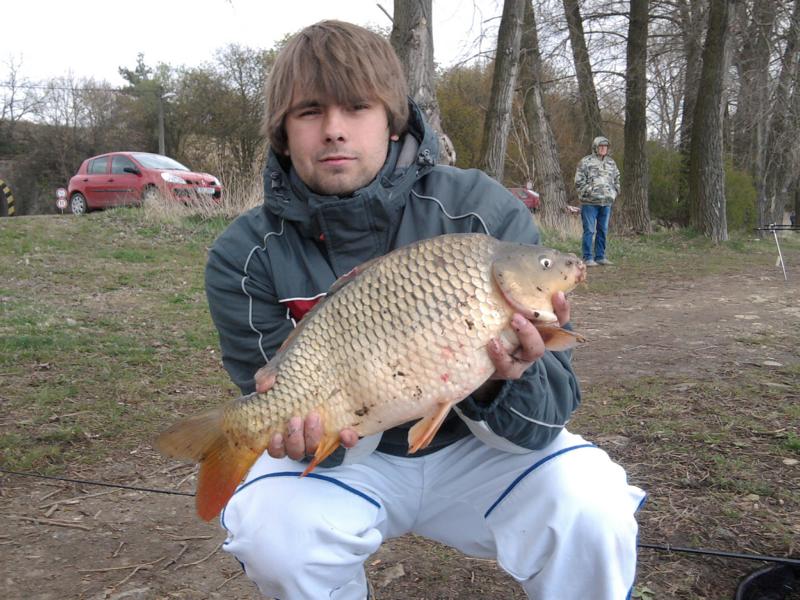 Kapr 52 cm - trošku od hlíny