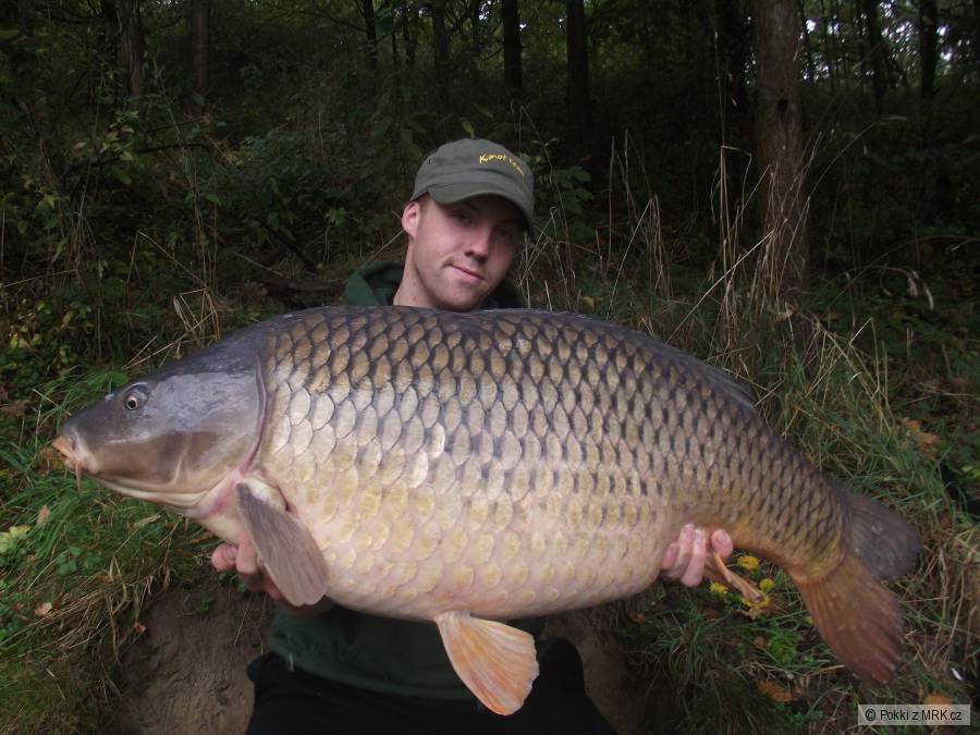 Kalrot 21,8Kg