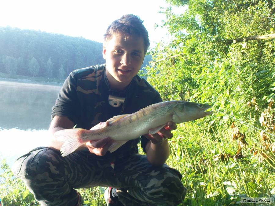 zubač