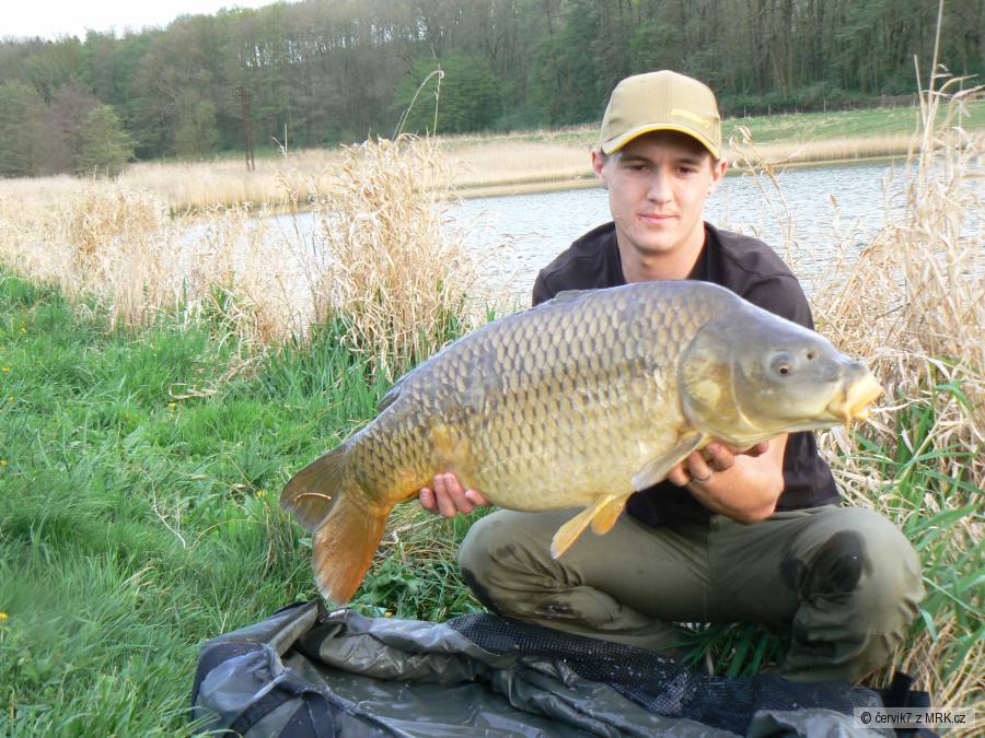 11,80kg 81cm