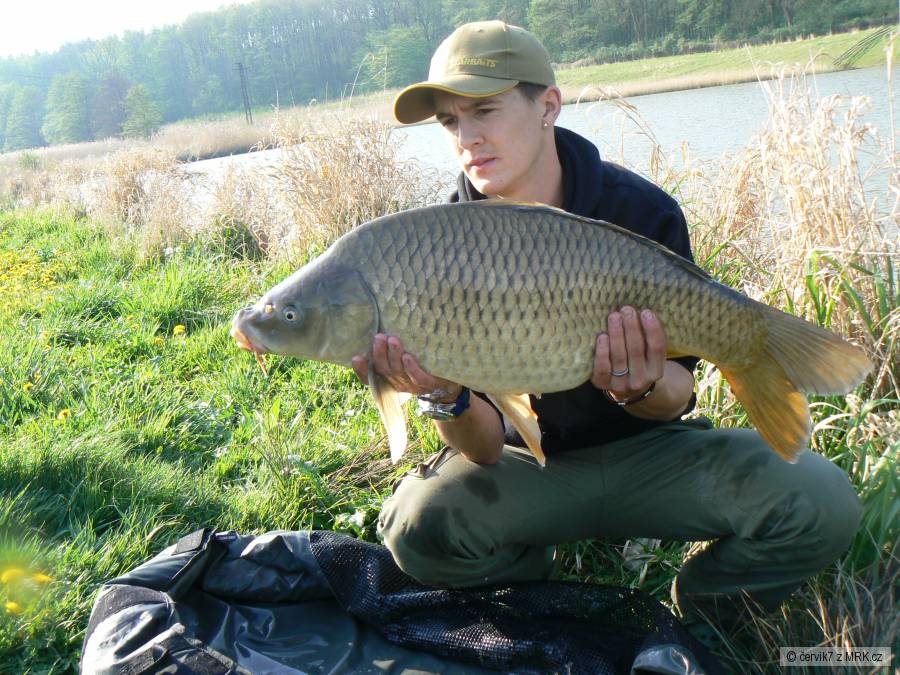 9,6kg 78cm