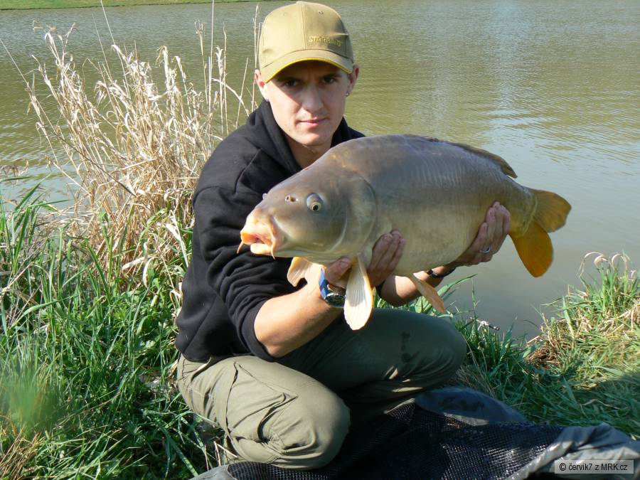 9,0kg 77cm