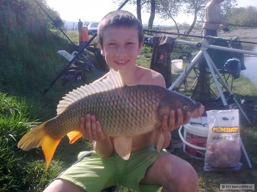 62cm
