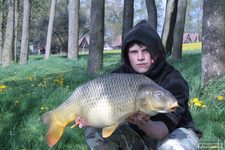 Kapr 76 cm a 11,60 kg